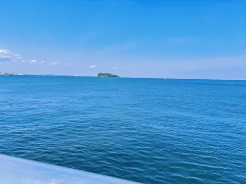 海に浮かぶ小さな緑