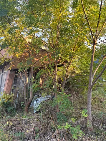 どこまでが森？どこからが家？