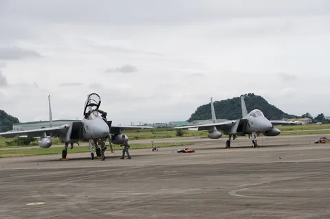 空を見つめる巨鳥たち
