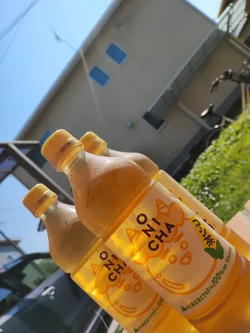 無題
