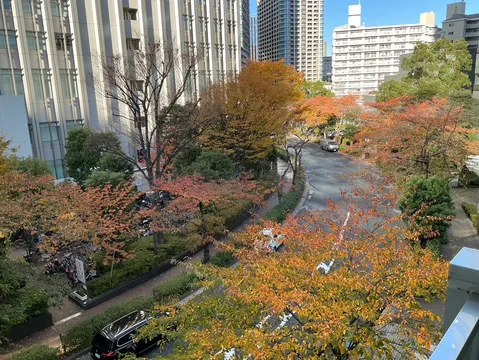 秋色に染まる都会のオアシス