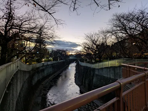 夕暮れの街を流れる静かな川
