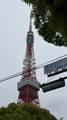 空と鉄塔、緑の囁き