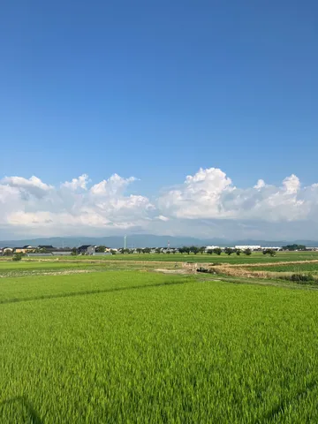 青と緑の静かな広野
