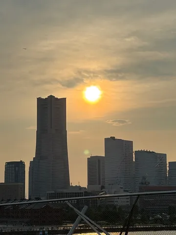 都会の空に溶ける、夕暮れの鳥の詩