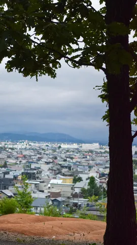 木漏れ日と街並み