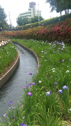 花と水路の静かな午後