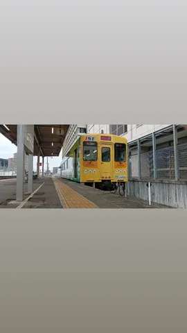 線路を彩る黄色の車両