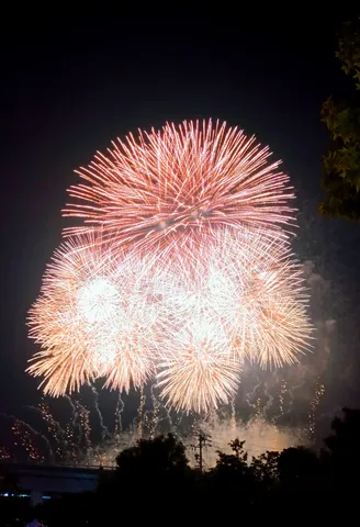 夜空を彩る華やかな光の饗宴