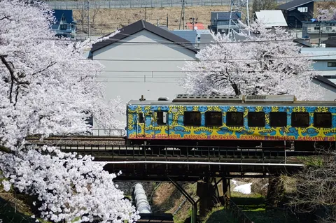 桜景色にポップな列車が飛び入り参加！