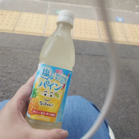 塩分補給！パインなっちゃん