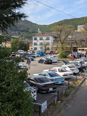 愛車たちと緑のコントラスト