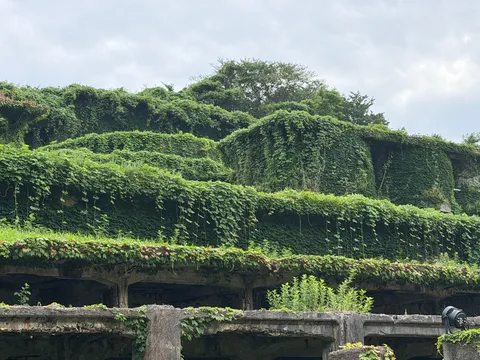 蔦に覆われた廃墟の空