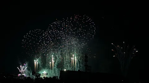 夜空を泳ぐ花火の群れ