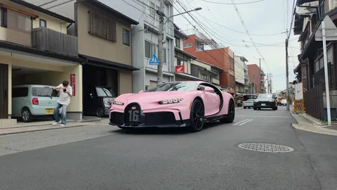 日本の路地で輝く、鮮烈なピンク