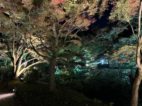 秋灯りの水辺の静寂