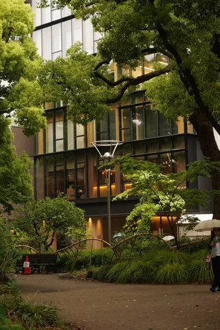 都会の緑が映える光景