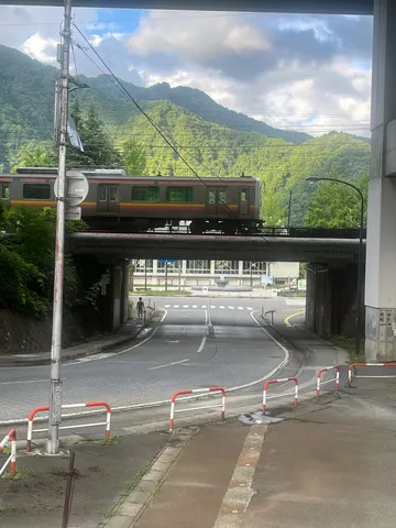 緑深き山と、橋を渡る電車
