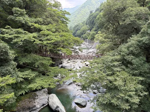 緑深き渓谷、吊り橋の趣