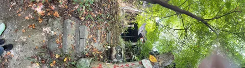 緑の中の小さな秘密基地