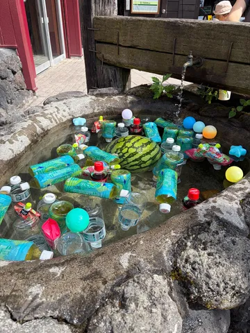 水辺の夏の小さな宝箱