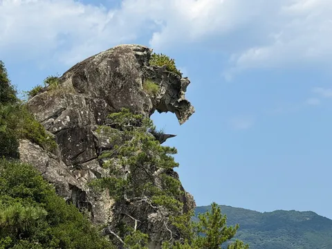 岩肌に宿る、自然の彫刻