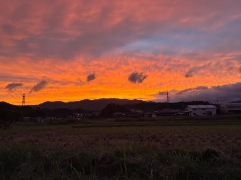 赤く染まる田園の余韻