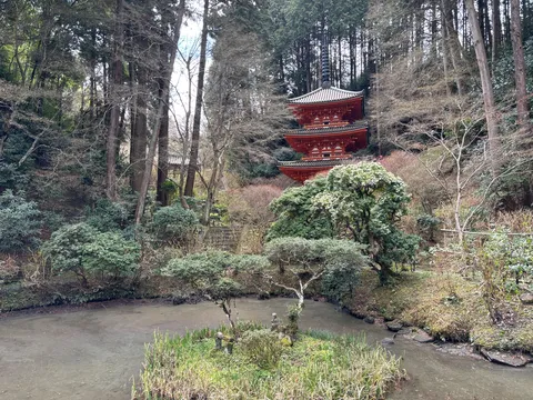 静寂の森に映える朱色の塔
