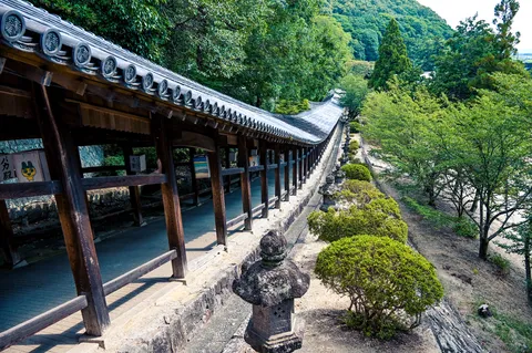 緑に包まれる古の回廊