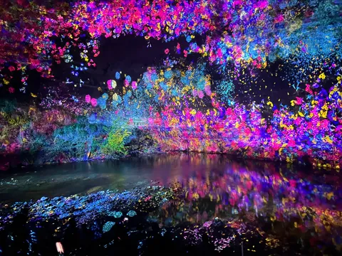 光が織りなす幻想水族館