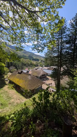茅葺き屋根と覗き見日和