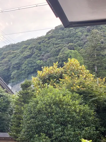 山麓の緑と空のコントラスト