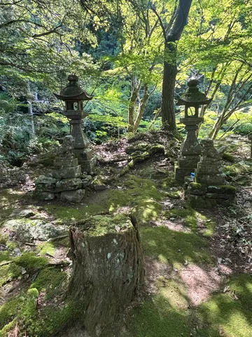 苔と石灯籠の静寂