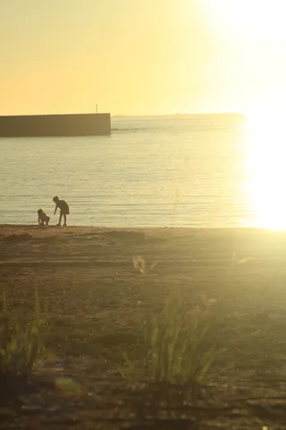 夕陽と砂浜のほのかな影
