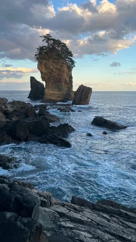 海に立つ森の岩柱