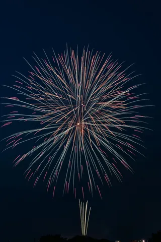 夜空に咲く光の花
