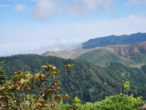 高原の風景に心揺れる