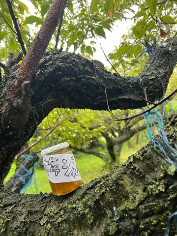 雨粒とジャム瓶、自然の贈り物