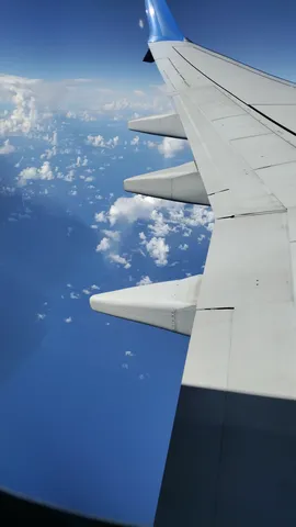 雲海の上を飛ぶ飛行機