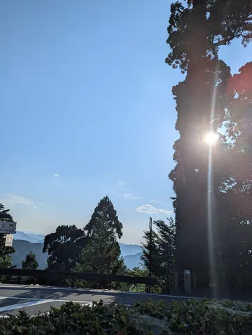 木漏れ日の峠風景