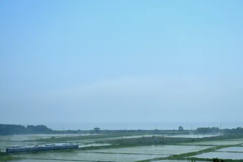 霞む水田と静かな列車