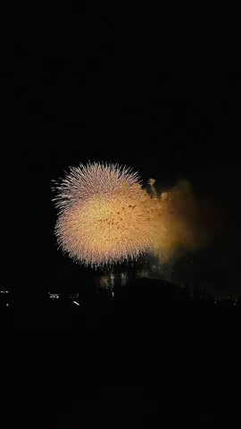 夜空を彩る黄金の華
