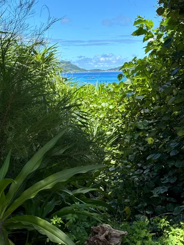 緑のトンネルの向こうの海