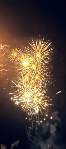 夜空を彩る黄金の華