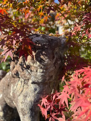 石獅子と紅葉の静寂