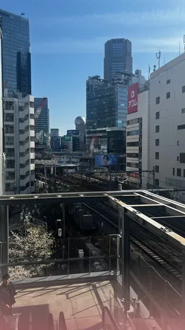都会の鉄道と春の訪れ