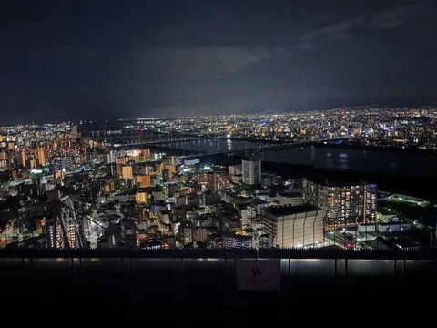 夜空に挑む光の海原