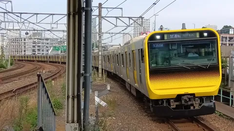 黄色の列車が曲がる風景