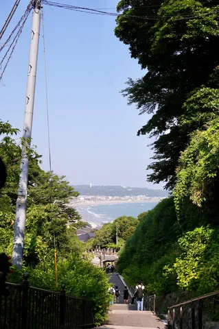 海へと続く緑の階段