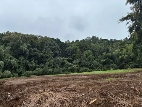 森と畑の静かな境界線